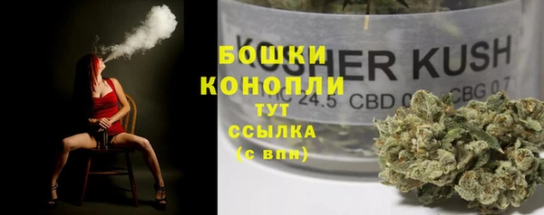 прущие грибы Абаза