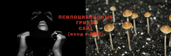 мескалин Алексеевка