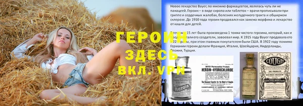 прущие грибы Абаза