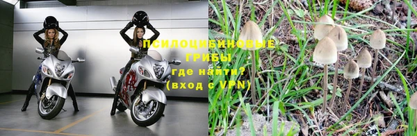 прущие крисы Кодинск