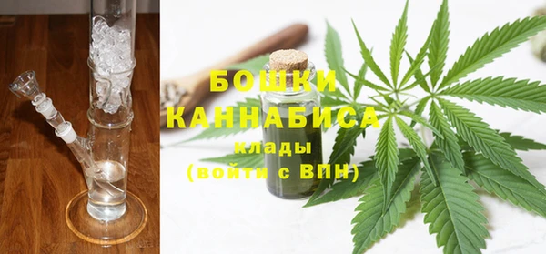 прущие грибы Абаза