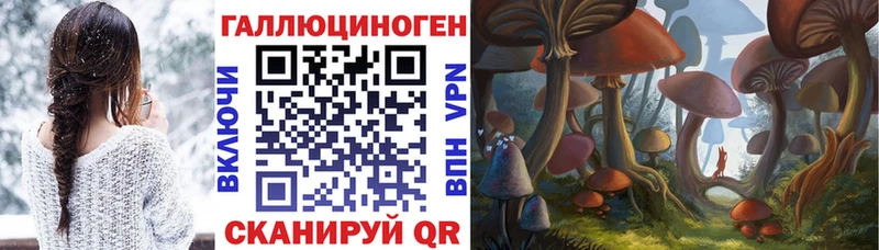 Галлюциногенные грибы Cubensis  Чита 